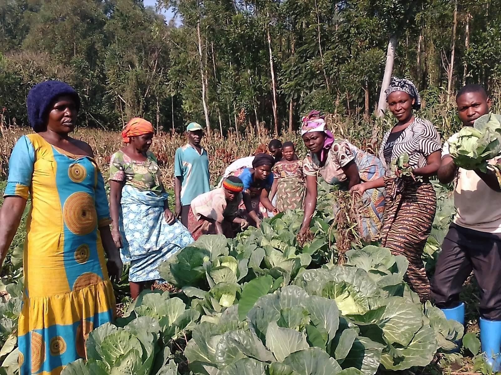 Farmers gather around their crops