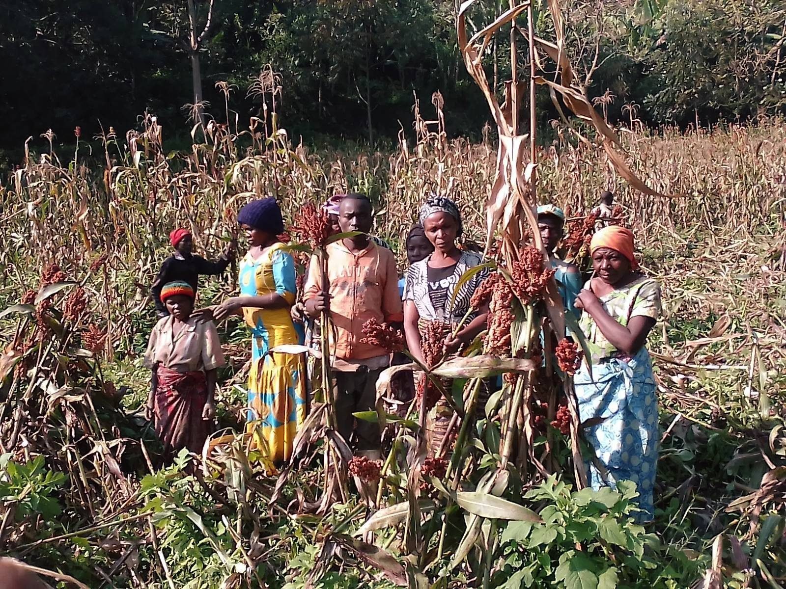 Agricultural work in North Kivu