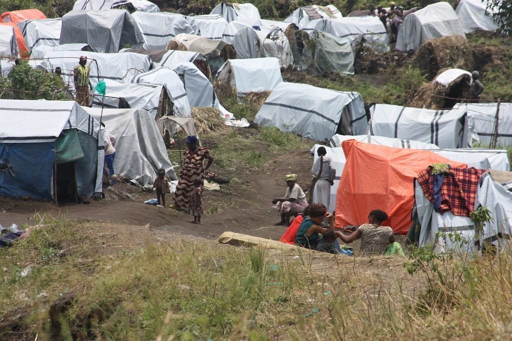 Temporary shelters in North Kivu
