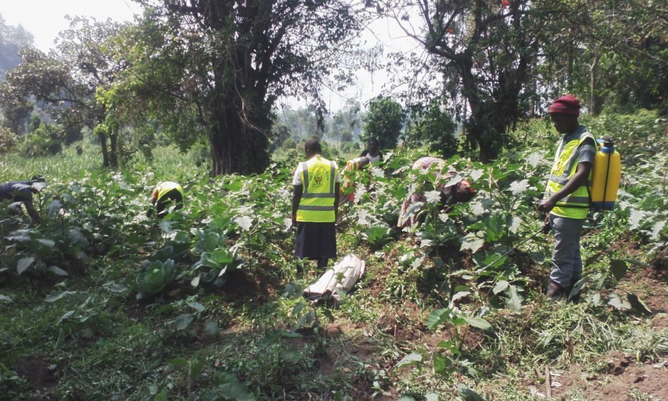 Environmental restoration and natural resources